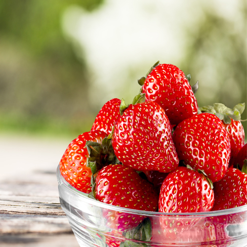 fraise-Fraisière du Nord Est