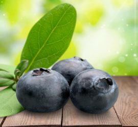 bleuets-Fraisière du Nord Est