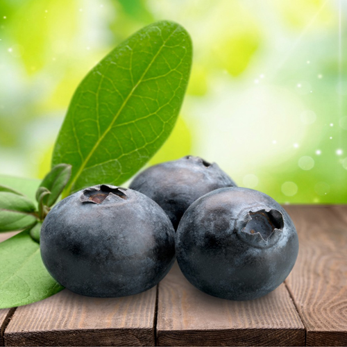 bleuets-Fraisière du Nord Est